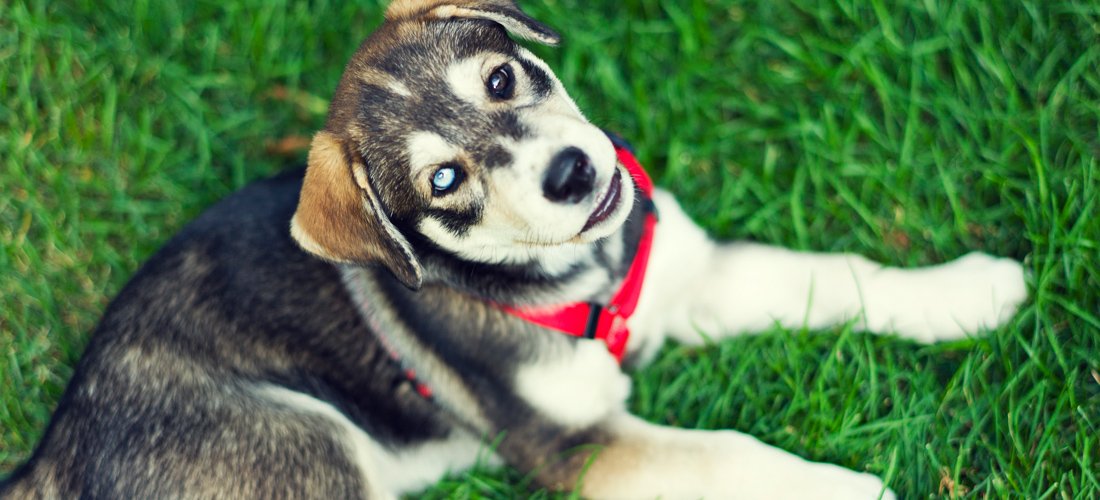 手机号自动轰炸