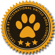 短信验证码轰炸网址免费